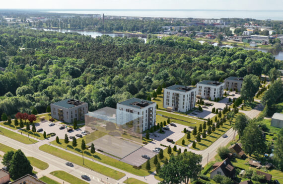 Niidupargi, 3D droonipilt, 3D visualiseering, visualiseering, arhitektuuripildid