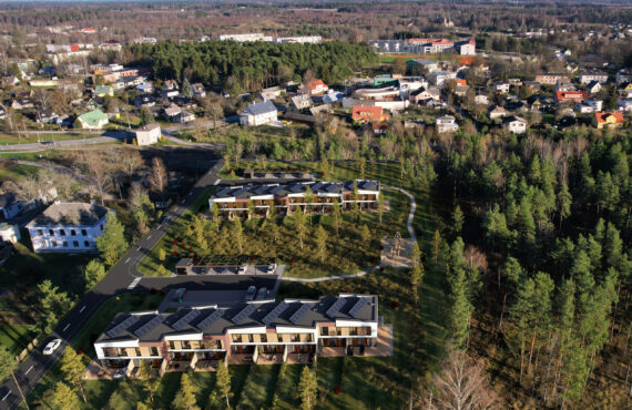 3D droonipildid, droonipildid, 3D visualiseerimine, viigimetsa