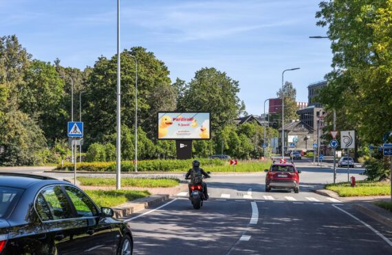 Move Media 3D istutus